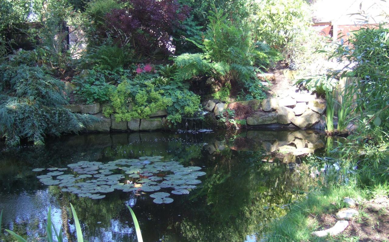 Lime Trees Farm Bed and Breakfast Μπίσεστερ Εξωτερικό φωτογραφία